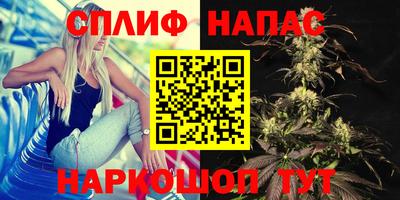 тгк Дубна