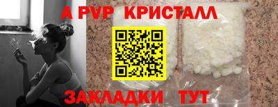 PSILOCYBIN Донской
