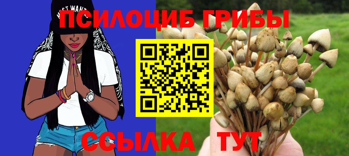 Галлюциногенные грибы Psilocybe  Вход с VPN  Галлюциногенные грибы мухоморы  Нижний Новгород 