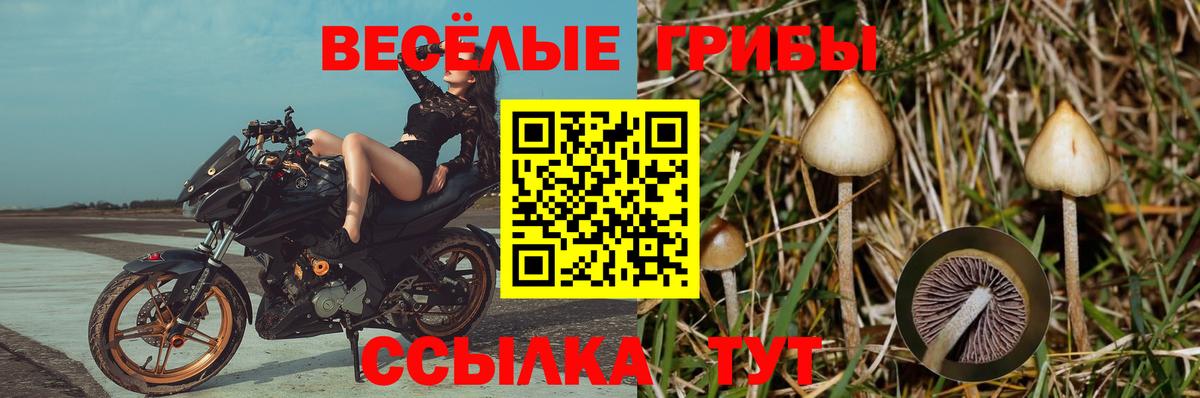 Галлюциногенные грибы MAGIC MUSHROOMS Нижний Новгород