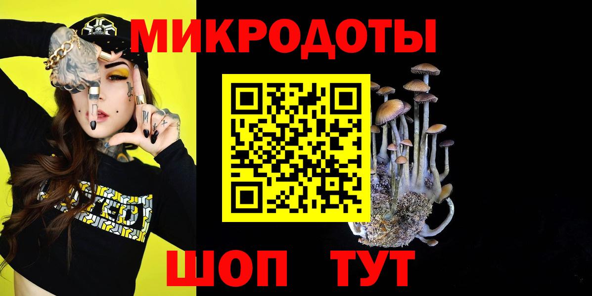 ГАШ Нижний Новгород